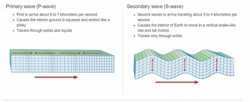 Which statement describes P waves?

They start as surface waves.
They travel through liquids.
They v