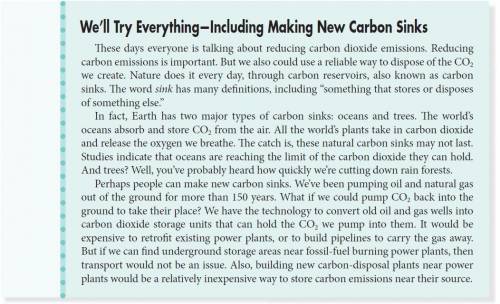 What type of carbon sink does the author propose people use?