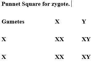 How does the predicted outcome of a zygote using a punnett square

compare to what happens in real l