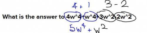 What is the answer to 4w^4+w^4+3w^2-2w^2