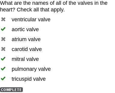 What are the names of all of the valves in the

heart? Check all that apply
ventricular valve
aortic