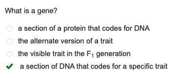 What is a gene?

a section of a protein that codes for DNA
the alternate version of a trait
the visi