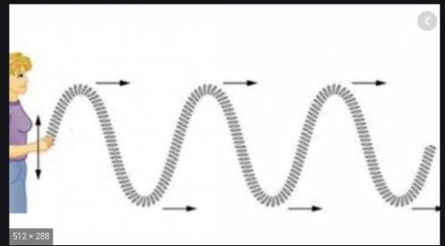 Water waves are waves because the wave moves up and down. transverse longitudinal