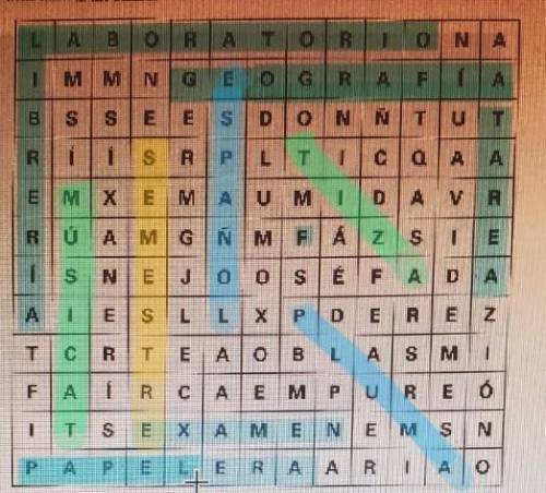 I need help with this Spanish word search. I can do the sorting of the words if someone can find the