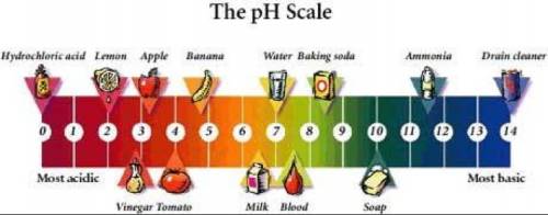 What is the ph of the products that form when an acid reacts with an alkali