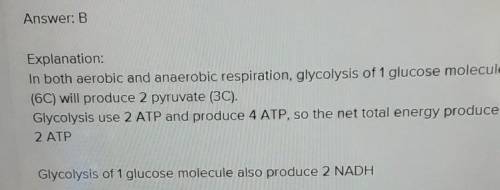 Glycolysis is the first step in cellular respiration. Which option best summarizes the process?

A.