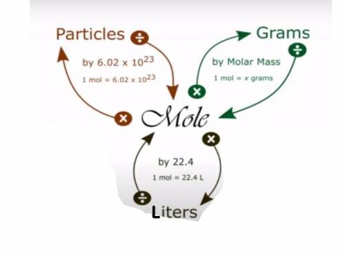 How many grams are in 0.220 mol of Ne?