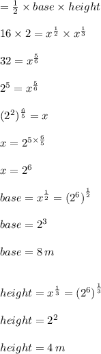 =  \frac{1}{2}  \times base \times height \\  \\  16 \times 2=   {x}^{ \frac{1}{2} }  \times  {x}^{ \frac{1}{3} }  \\  \\ 32 =  {x}^{ \frac{5}{6} }  \\  \\  {2}^{5} =  {x}^{ \frac{5}{6} }  \\  \\  ({2}^{2})^{ \frac{6}{5} }  = x \\  \\ x =  {2}^{5 \times  \frac{6}{5} }  \\  \\ x =  {2}^{6}  \\  \\ base =  {x}^{ \frac{1}{2} } =  {({2}^{6})}^{ \frac{1}{2} }  \\  \\  base =   {2}^{3}  \\  \\  base =   8 \: m \\  \\   \\ height =  {x}^{ \frac{1}{3} } =  {({2}^{6})}^{ \frac{1}{3} }  \\  \\  height=   {2}^{2}  \\  \\  height =   4 \: m