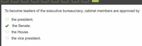 To become leaders of the executive bureaucracy, cabinet members are approved by A) The president B)