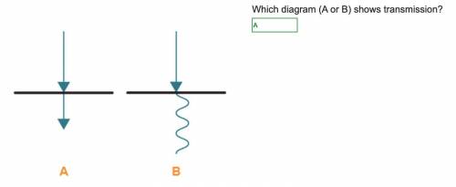 Which diagram (A or B) shows transmission?