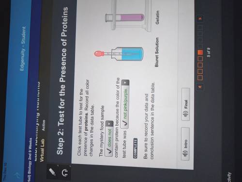 Click each test tube to test for the

presence of proteins. Record all color
changes in the data tab