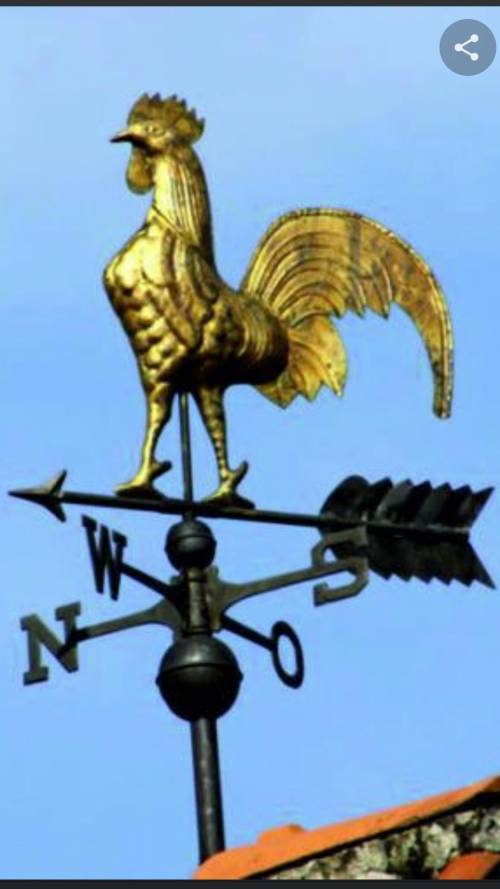 Please answer these questions.

1. What is a wind vane?2. Types of wind vane.3. Uses of wind vane.4.