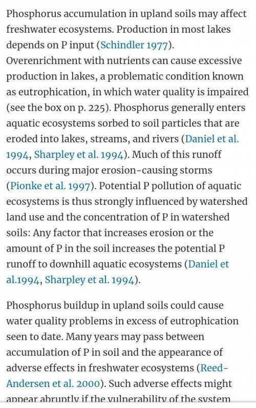 What are some human impacts on the Phosphorus Cycle?
