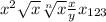 x^{2} \sqrt{x} \sqrt[n]{x} \frac{x}{y} x_{123}