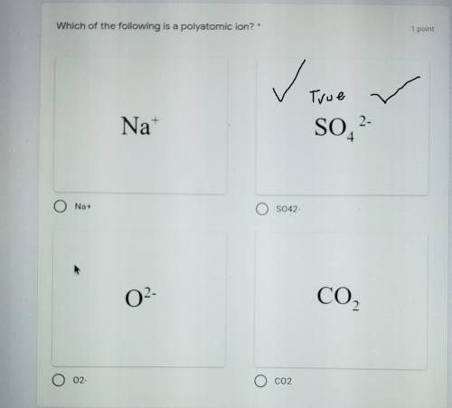 Which is a polyatomic ion