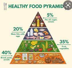 Why the food pyramid is wider at the base and very narrow at the top