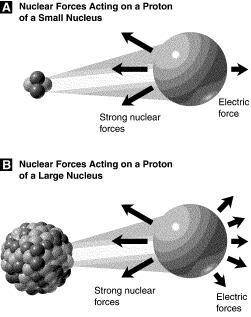 IF the strong nuclear force affects all particles that are close to each other, What will happen if