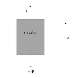 Suppose the acceleration of an elevator is 1/2 g upward, then what is the reading on the scale in th
