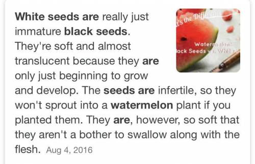 What does a black watermelon seed mean? How is it different from a white seed?