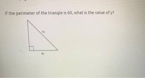 If the perimeter of the triangle is 60, what is the value of y?