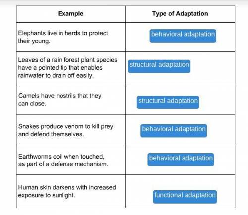 Match type of adaptation to the correct example