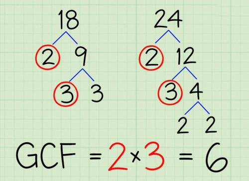Explain how to find the Great Common Factor.
