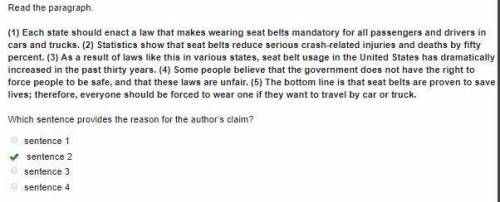 argument essay about seat belt