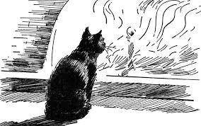 Identify a THEME of the story The Black Cat, and provide at least two pieces of evidence to

suppo