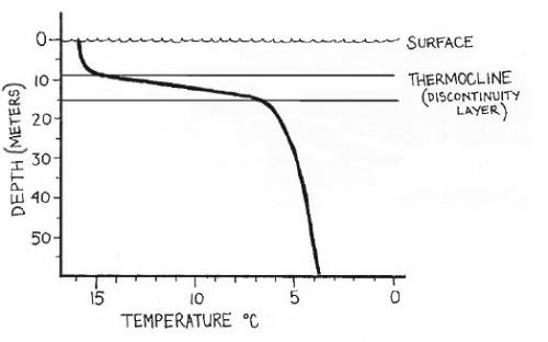 The surface water temperature on a large, deep lake is 3°c. a sensitive temperature probe is lowered