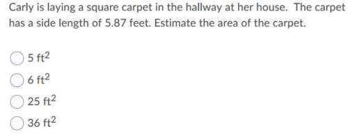 Carly is laying a square carpet in the hallway of her house. the carpet has a side length of 5.87 fe