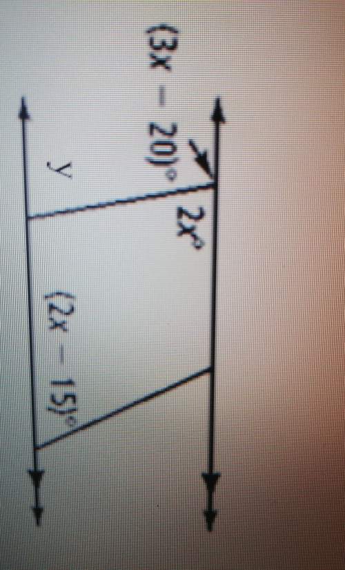 Find the value of x and y and each labeled angle.