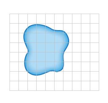Each square on the grid represents 1 yd². what is the approximate area of this pond? a. about 10 yd