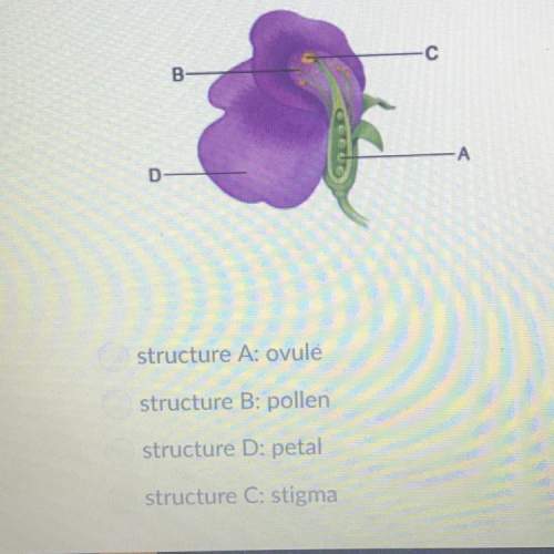 What part of a flowering plant contains female reproductive