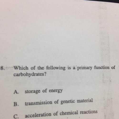 Which of the following is a primary function of carbohydrates