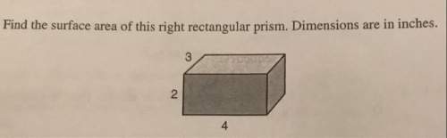 Find the surface area of this right rectangular prism. dimensions are in inches. 3, 2, and 4