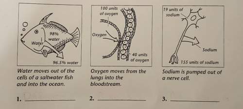 Are these osmosis, diffusion, or active transport (each picture is a different one)