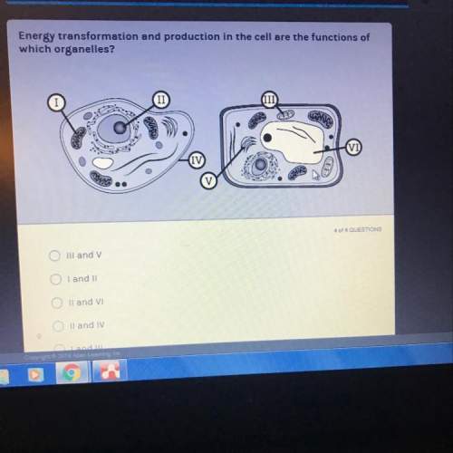 Keystone biology ta test it: plant and animal cells energy transformation and pro
