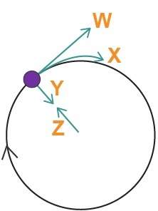 Aball moves in a circle at the end of a string, as shown. which arrow represents the centripetal for
