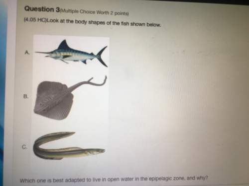 Could you check my work? ?  adaptations may occur  marine science 1.) adapt