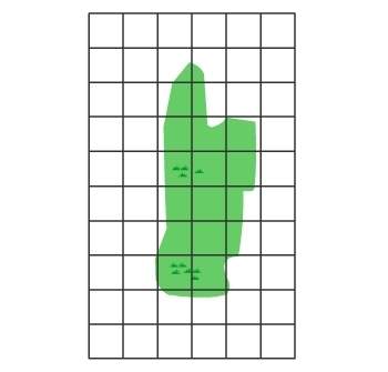 Each square on the grid represents 1 m2. what is the approximate area of this grassy fie