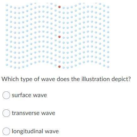 What type of wave does the illustration depict?