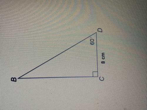 What is the area of triangle bcd to the nearest tenth of a square centimeter? use special right tri