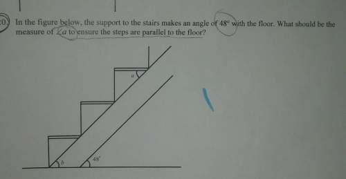 Answer haha in the figure below the support to the stairs makes an angle of 48 degrees with the floo
