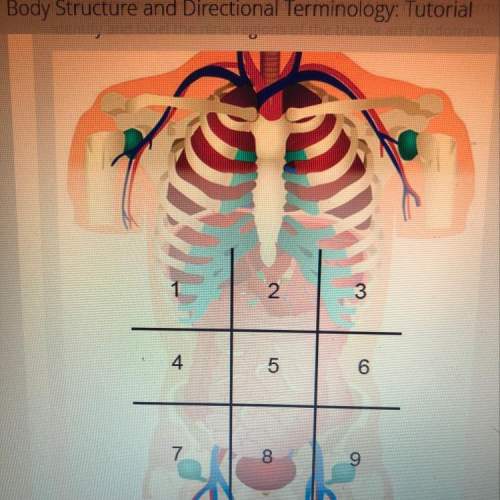 Look at the diagram. using your knowledge of the medical terminology that healthcare professionals a