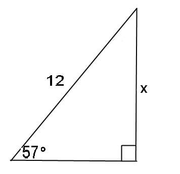 In the triangle below, calculate the value of x.