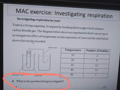 Would the question be what does the effect of temperature on the respiration of yeast do? ?