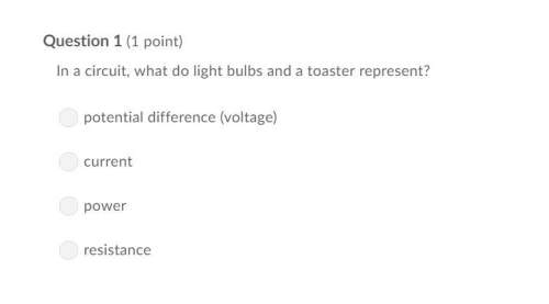 Correct answer only !  in a circuit, what do light bulbs and a toaster represent?&lt;