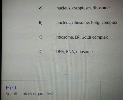 Central dogma includes the following: the dna codes for the production of messenger rna