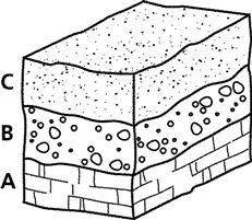 Iwill mark brainliest  the figure below represents sedimentary layers in a single geographic l
