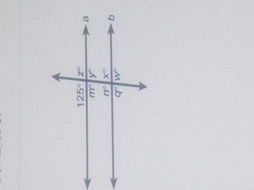 lines a and b are parallel what is the measure of angle m?  en